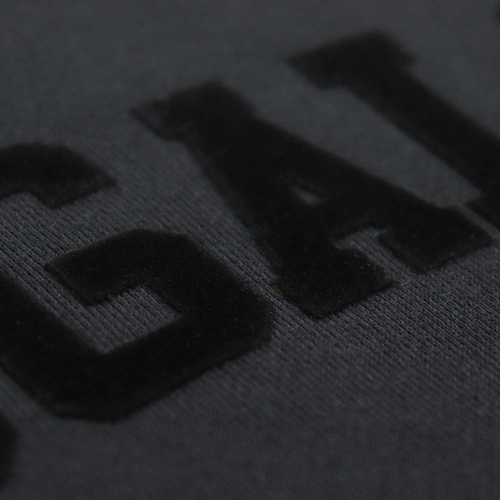Tougaloo College Ultra Black Velvet Sweatshirt - CORIN DEMARCO